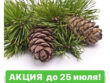 Акция до 25 июля при покупке подарочного сертификата