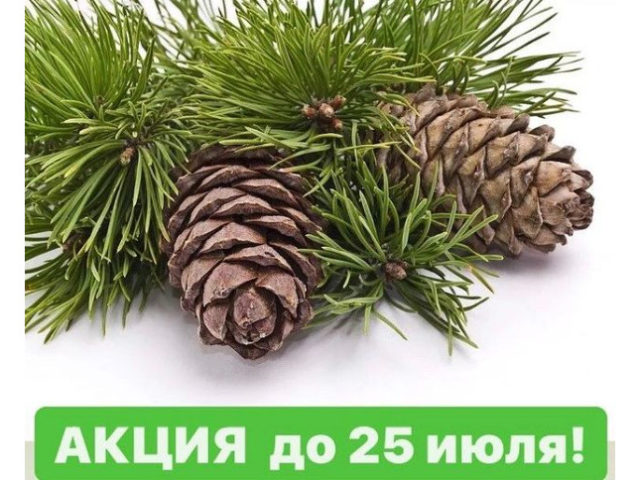Акция до 25 июля при покупке подарочного сертификата