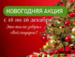 Новогодняя акция в спа салоне Кедр в Новороссийске