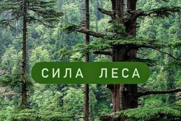 Подарочные сертификаты в СПА‑салон — идеальный подарок