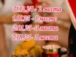 Праздничное объявление СПА-салона Кедр с датами новогодних процедур и количеством свободных мест.